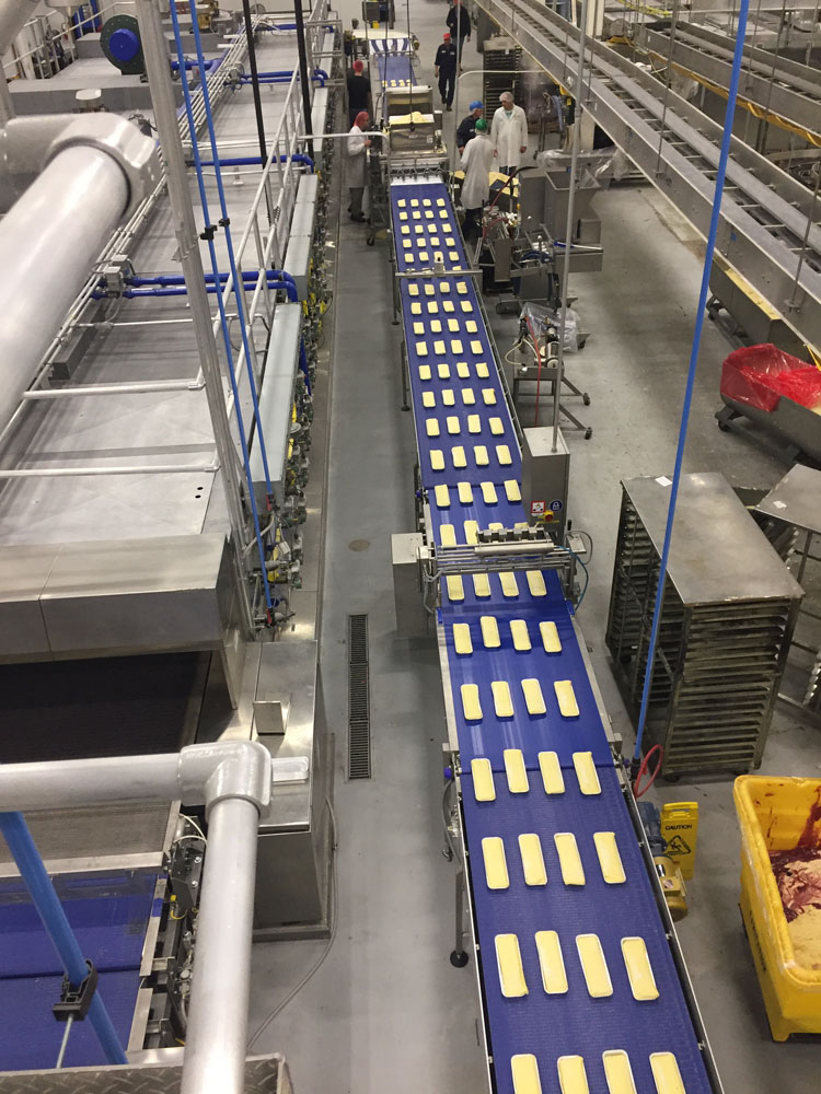Conveyor Systems